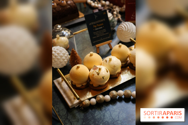 Les Bûches de Noël IG Bas des Belles Envies 2023 - IMG 2777