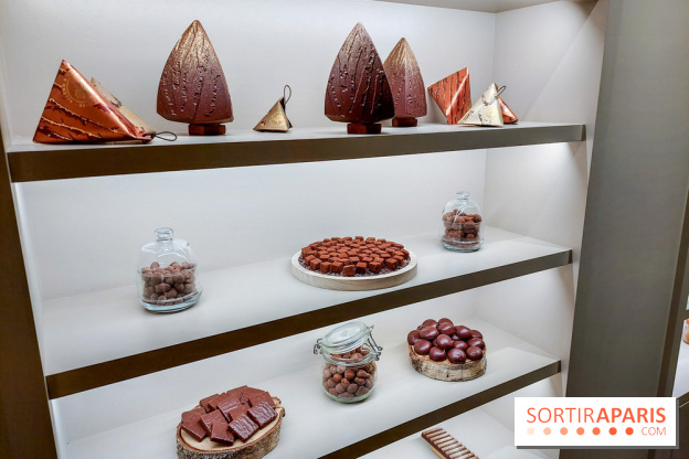 Bûche et chocolats de Noël 2023 signés Alléno & Rivoire - 20230922 103652