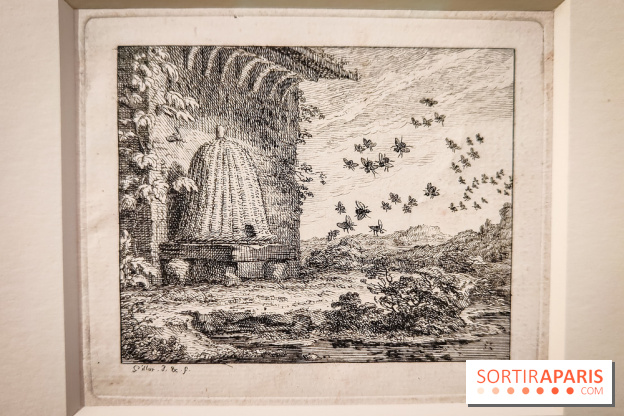 Claude Gillot : le dessinateur du Grand siècle au cœur d'une exposition au musée du Louvre - IMG20231107105854