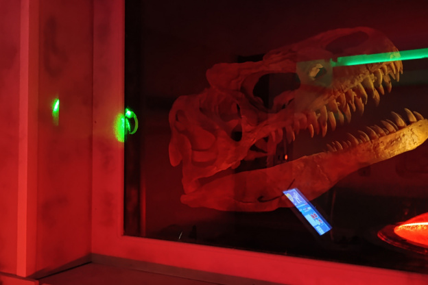 Campagne #31450 - IMG 20250212 152531