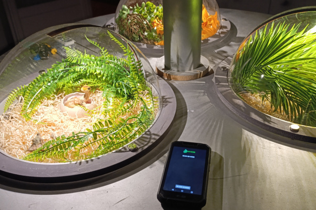 Campagne #31450 - IMG 20250212 153206