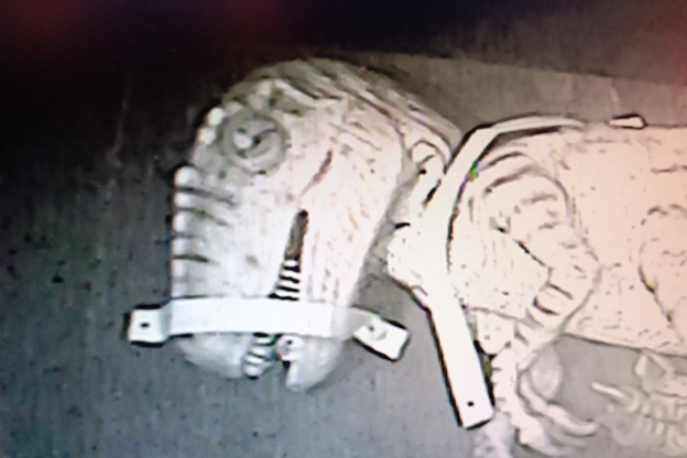 Campagne #31450 - IMG 20250212 153257