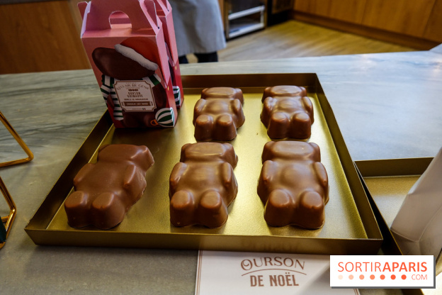 Bûches de Noël 2023 de l'Eclair de Génie
