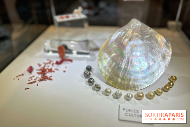 Secrets de Bijoux
