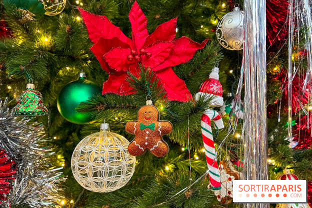 Les vitrines et décors de Noël 2023 du Bon Marché Rive Gauche - image00076