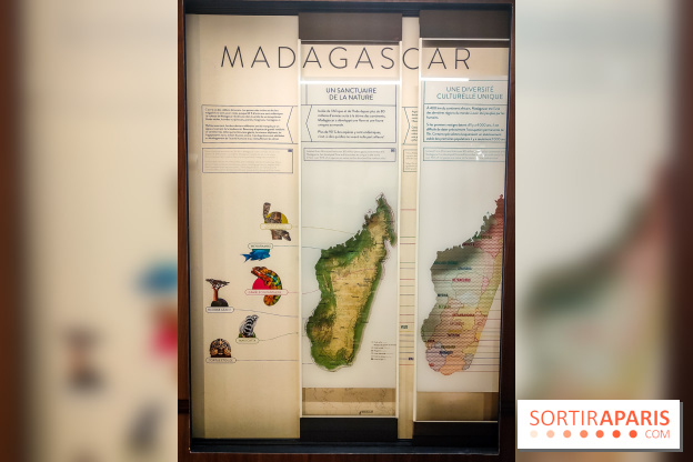 Enquête à Madagascar : nos photos de l'exposition immersive ultra ludique de l'Aquarium tropical - IMG20231113103723