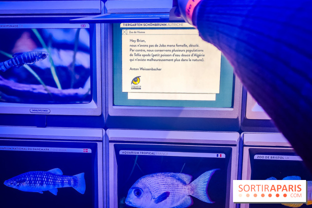 Enquête à Madagascar : nos photos de l'exposition immersive ultra ludique de l'Aquarium tropical - IMG20231113102407