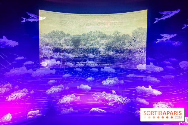 Enquête à Madagascar : nos photos de l'exposition immersive ultra ludique de l'Aquarium tropical
