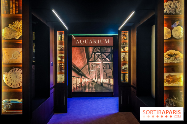 Enquête à Madagascar : nos photos de l'exposition immersive ultra ludique de l'Aquarium tropical - IMG20231113102316