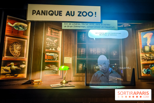 Enquête à Madagascar : nos photos de l'exposition immersive ultra ludique de l'Aquarium tropical - IMG20231113102218