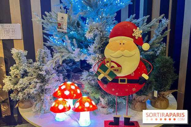 Un Noël Magique à So Ouest