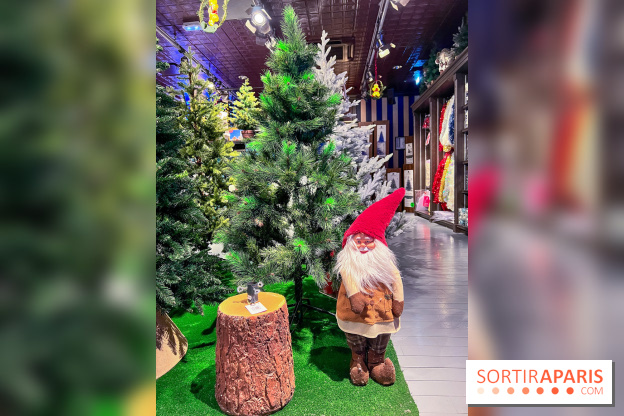 Un Noël Magique à So Ouest - IMG 8356