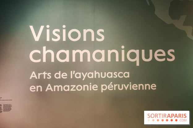 Visions chamaniques : l'exposition du musée du Quai Branly qui nous transporte en Amazonie - IMG20231113145730