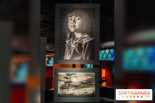 Visions chamaniques : l'exposition du musée du Quai Branly qui nous transporte en Amazonie - IMG20231113145947