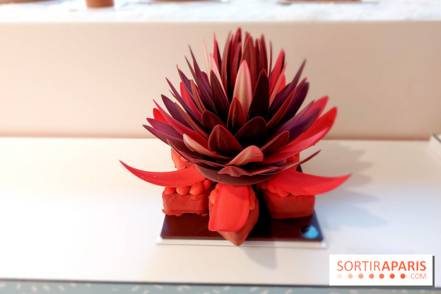 Bûches et chocolats de Noël 2023 de Pierre Marcolini, nos photos - 20230907 112621