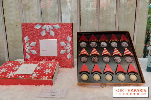 Bûches et chocolats de Noël 2023 de Pierre Marcolini, nos photos - 20230907 112920