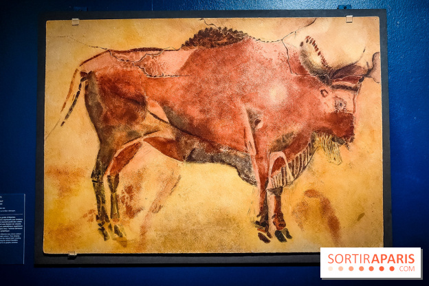 Préhistomania au Musée de l'Homme : l'exposition événement autour de l'art rupestre - nos photos - IMG20231115100219