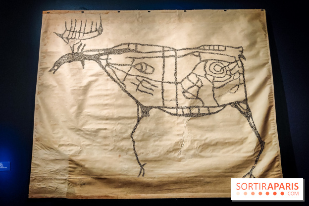 Préhistomania au Musée de l'Homme : l'exposition événement autour de l'art rupestre - nos photos - IMG20231115100042
