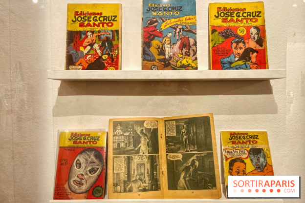 Lucha Libre à l'Institut culturel du Mexique