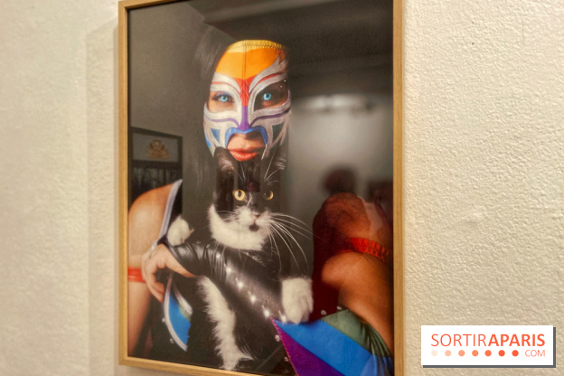 Lucha Libre à l'Institut culturel du Mexique