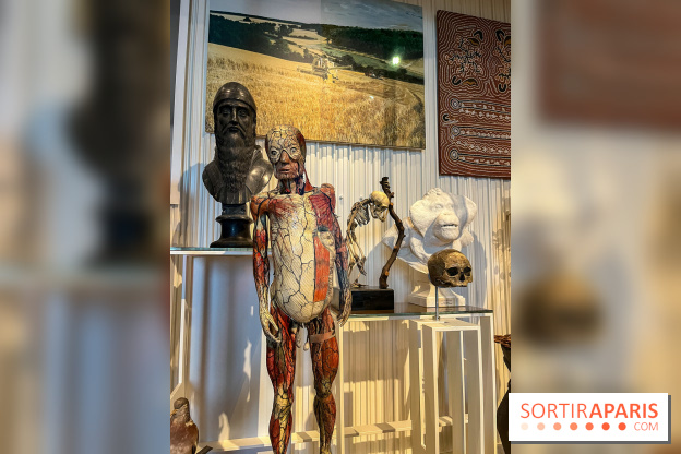 Le musée de l'Homme - collections permanentes - image00066