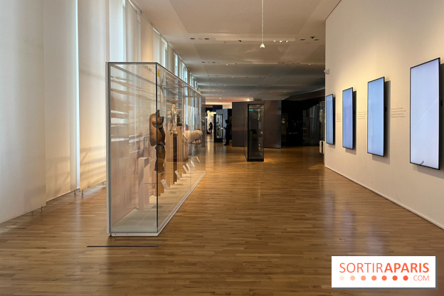 Le musée de l'Homme - collections permanentes