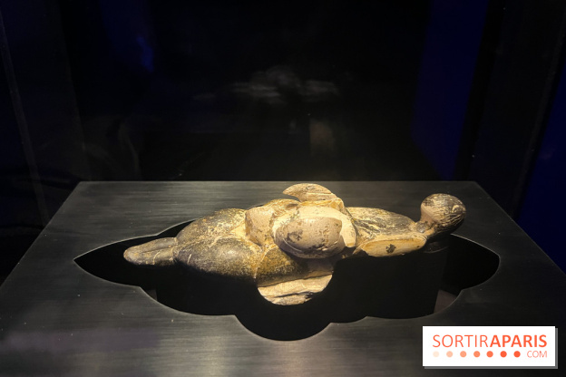 Le musée de l'Homme - collections permanentes - image00042