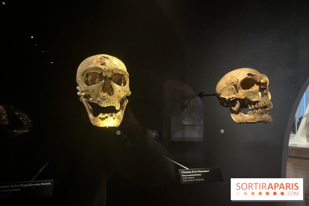 Le musée de l'Homme - collections permanentes - image00044