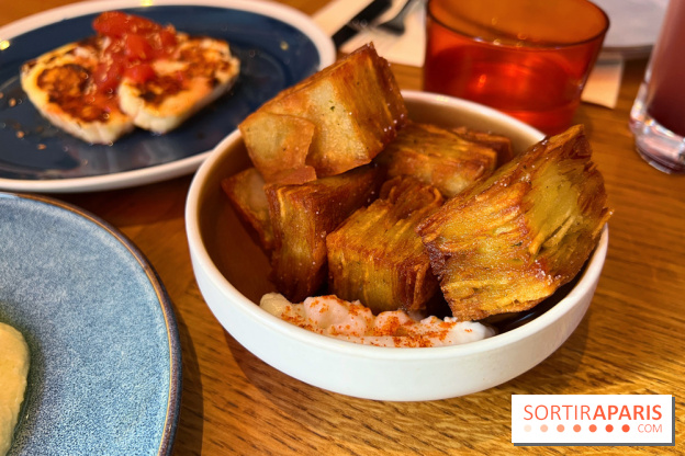 Sama - Feuilletés pommes de terre frits