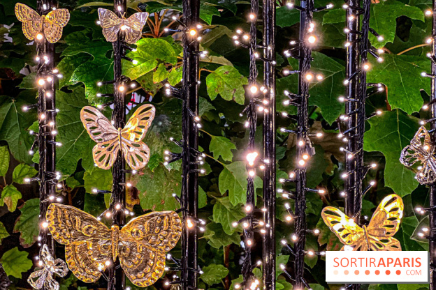 Les illuminations de Noël 2023 de l'Avenue Montaigne - cérémonie et décors féériques - image00070