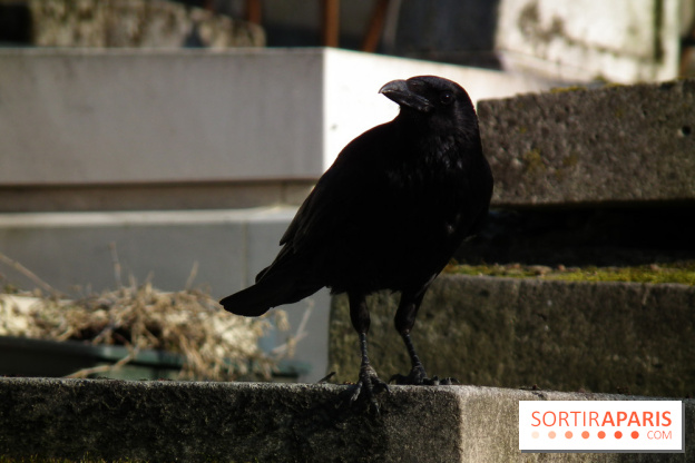 Le Père Lachaise, le cimetière le plus mythique de Paris et ses tombes de personnalités célèbres