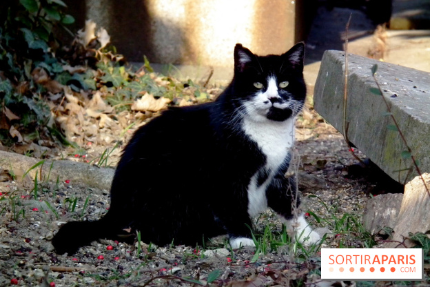 Le Père Lachaise, le cimetière le plus mythique de Paris et ses tombes de personnalités célèbres