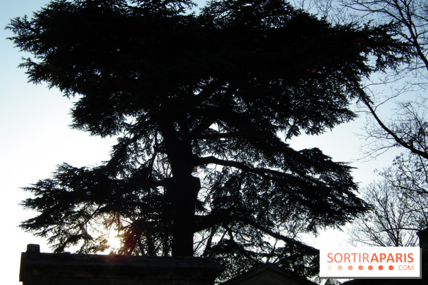 Le Père Lachaise, le cimetière le plus mythique de Paris et ses tombes de personnalités célèbres