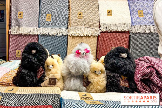 Le Marché de Noël de Boulogne Billancourt (92) - image00039