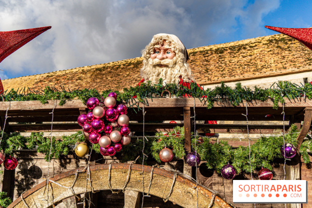 Le Marché de Noël de Janvry -  A7C8907