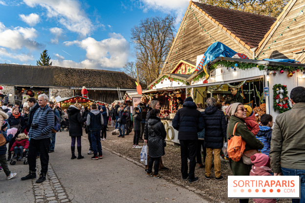 Le Marché de Noël de Janvry