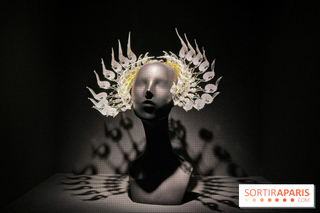 L’exposition retrospective de la créatrice de mode Iris Van Herpen au Musée des Arts Décoratifs - image00102