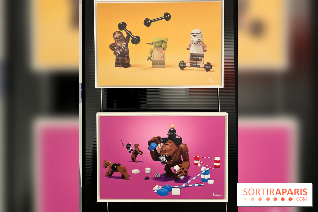 Exposition LEGO à Clichy - IMG 8859