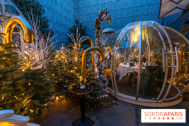Le Tea Time du Joy à l'Hôtel Fouquet's sur sa terrasse d'hiver enchantée -  A7C9654