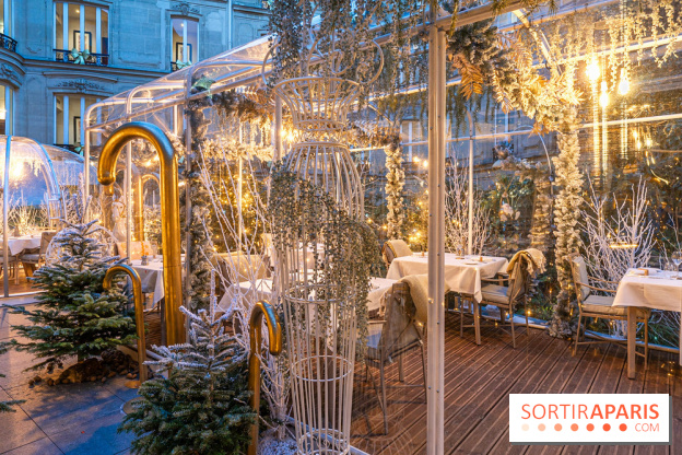Le Tea Time du Joy à l'Hôtel Fouquet's sur sa terrasse d'hiver enchantée -  A7C9660