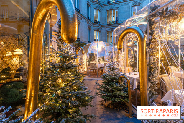 Le Tea Time du Joy à l'Hôtel Fouquet's sur sa terrasse d'hiver enchantée -  A7C9661