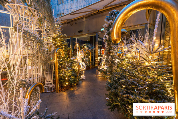 Le Tea Time du Joy à l'Hôtel Fouquet's sur sa terrasse d'hiver enchantée -  A7C9666