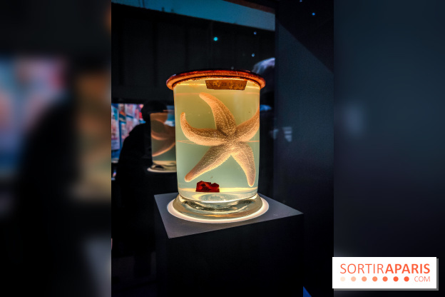 Objectif mer, l'exposition autour du 7e art à découvrir au musée de la Marine - nos photos - IMG20231207103735