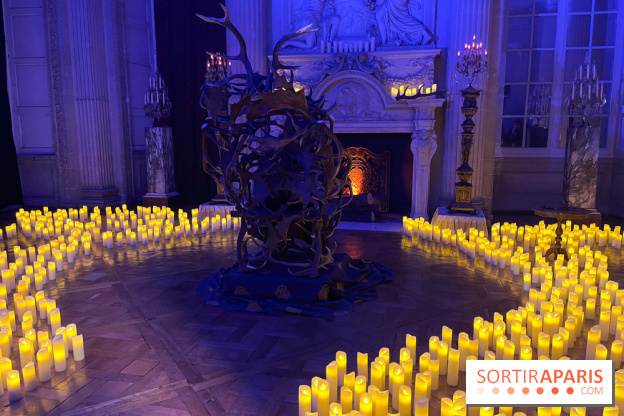 La Belle et la Bête, le spectacle au château de Maisons-Laffitte - nos photos - image00014