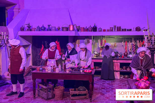 La Belle et la Bête, le spectacle au château de Maisons-Laffitte - nos photos - image00011