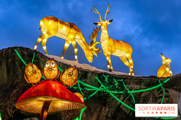 Noël au Parc Astérix 2023, sentier de lumières et patinoire