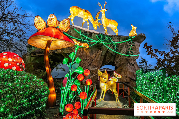 Noël au Parc Astérix 2023, sentier de lumières et patinoire - IMG 4973