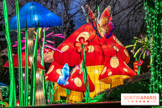 Noël au Parc Astérix 2023, sentier de lumières et patinoire