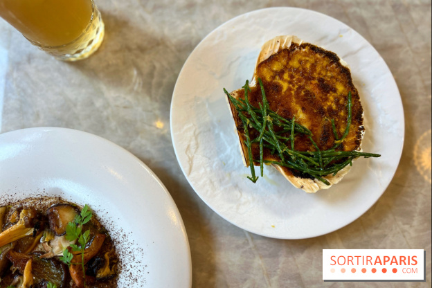 Le Boréal - Saint-Jacques gratinée