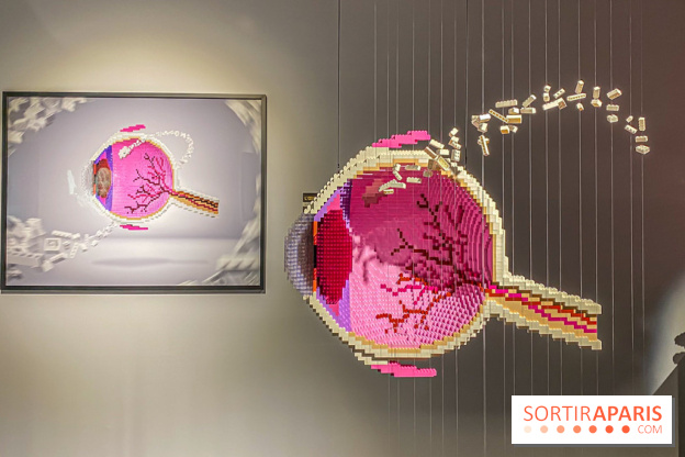 Expo The Art of The Brick Galerie Montparnasse - IMG 3048